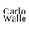 The Zone B.V. logo